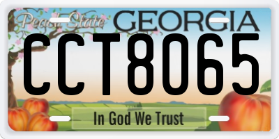 GA license plate CCT8065