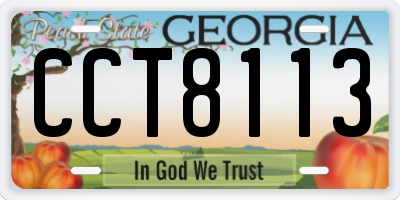 GA license plate CCT8113