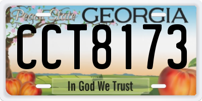 GA license plate CCT8173