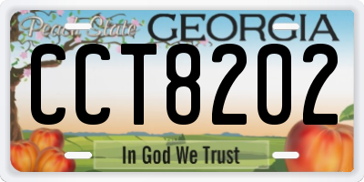 GA license plate CCT8202