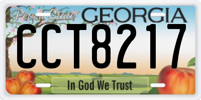 GA license plate CCT8217