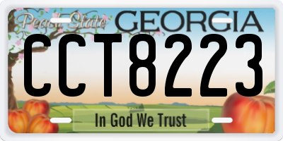 GA license plate CCT8223