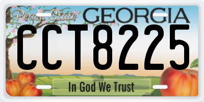GA license plate CCT8225