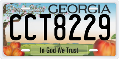 GA license plate CCT8229