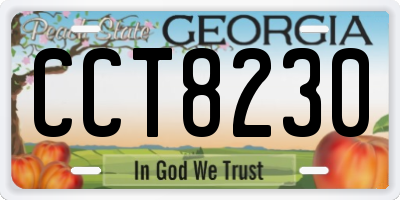GA license plate CCT8230