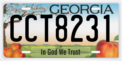 GA license plate CCT8231