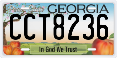 GA license plate CCT8236