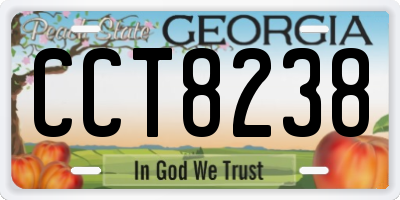 GA license plate CCT8238