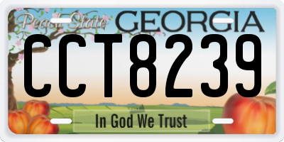GA license plate CCT8239