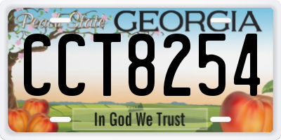 GA license plate CCT8254