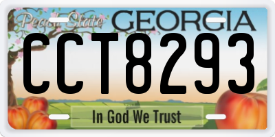 GA license plate CCT8293