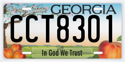 GA license plate CCT8301