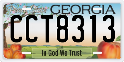 GA license plate CCT8313