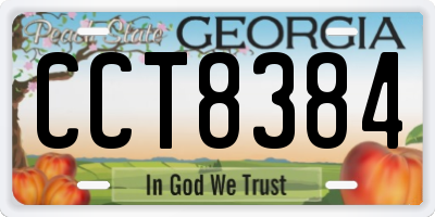 GA license plate CCT8384