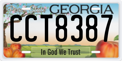 GA license plate CCT8387