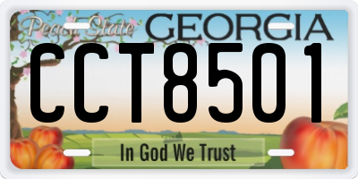 GA license plate CCT8501