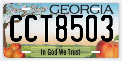 GA license plate CCT8503