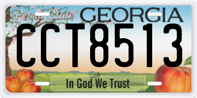 GA license plate CCT8513