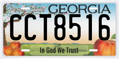 GA license plate CCT8516