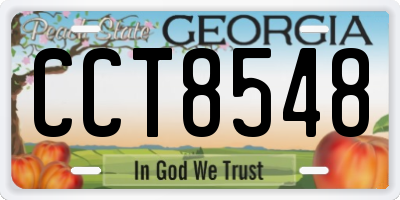 GA license plate CCT8548