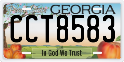 GA license plate CCT8583