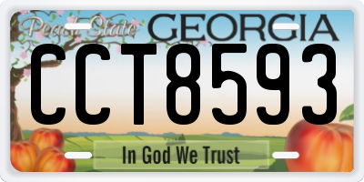 GA license plate CCT8593