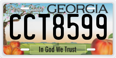 GA license plate CCT8599