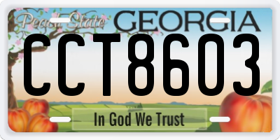 GA license plate CCT8603
