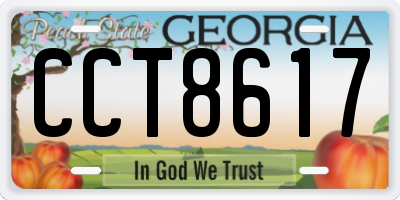 GA license plate CCT8617