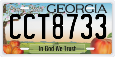 GA license plate CCT8733