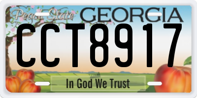 GA license plate CCT8917