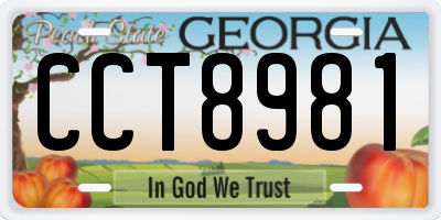 GA license plate CCT8981