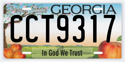GA license plate CCT9317