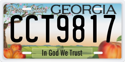 GA license plate CCT9817
