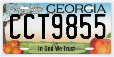 GA license plate CCT9855