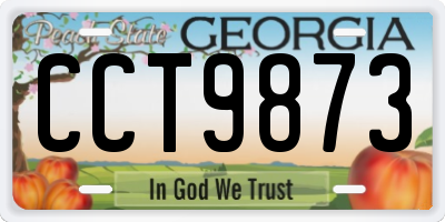 GA license plate CCT9873