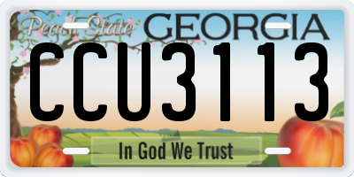 GA license plate CCU3113