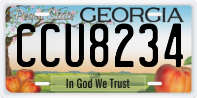GA license plate CCU8234