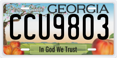 GA license plate CCU9803