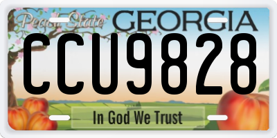 GA license plate CCU9828