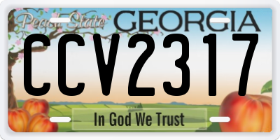 GA license plate CCV2317