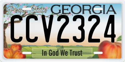 GA license plate CCV2324