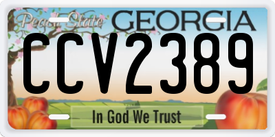 GA license plate CCV2389