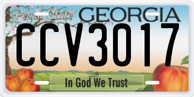 GA license plate CCV3017