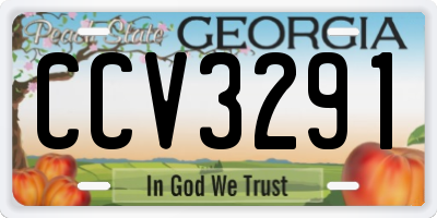 GA license plate CCV3291