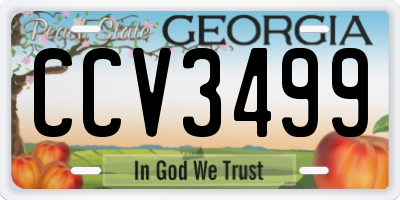 GA license plate CCV3499