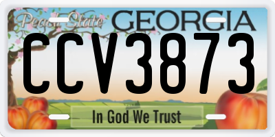 GA license plate CCV3873