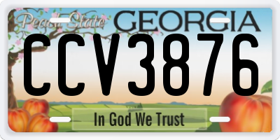 GA license plate CCV3876