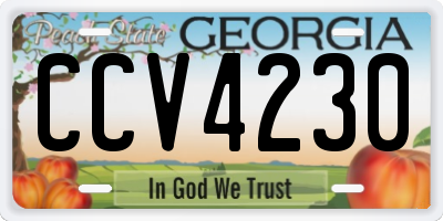 GA license plate CCV4230