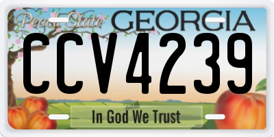 GA license plate CCV4239